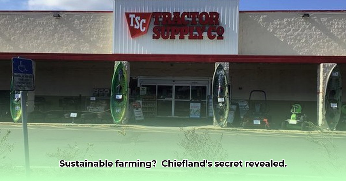 tractor-supply-chiefland-florida